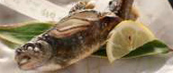 【信州名物】岩魚の塩焼き＋馬刺し＋キノコ鍋