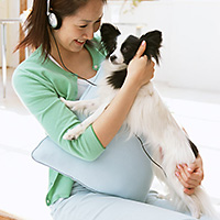 愛犬と一緒に旅行が楽しめる